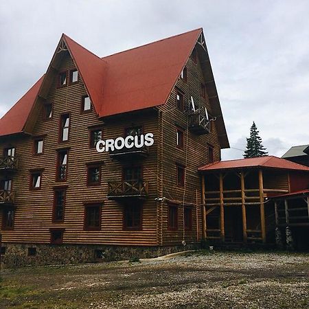 Crocus Otel Drahobrat Dış mekan fotoğraf